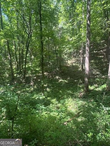 10.96 AC Paramount Trail, Ellijay, GA 30536