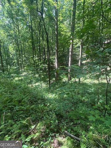 10.96 AC Paramount Trail, Ellijay, GA 30536