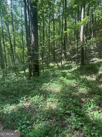 10.96 AC Paramount Trail, Ellijay, GA 30536