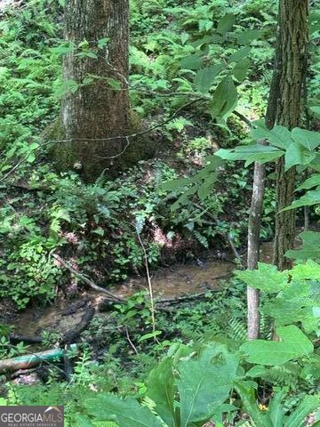 10.96 AC Paramount Trail, Ellijay, GA 30536