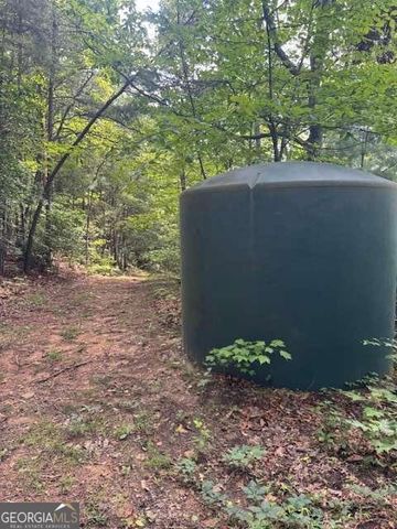 10.96 AC Paramount Trail, Ellijay, GA 30536