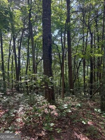 10.96 AC Paramount Trail, Ellijay, GA 30536