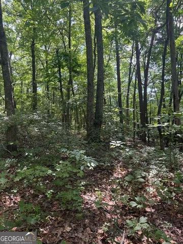 10.96 AC Paramount Trail, Ellijay, GA 30536