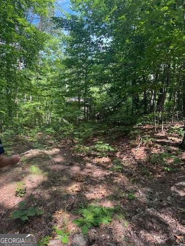 10.96 AC Paramount Trail, Ellijay, GA 30536