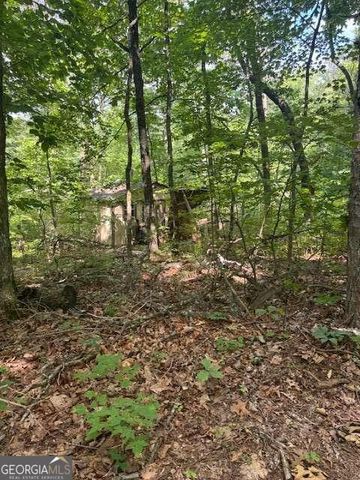 10.96 AC Paramount Trail, Ellijay, GA 30536