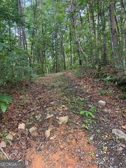 10.96 AC Paramount Trail, Ellijay, GA 30536