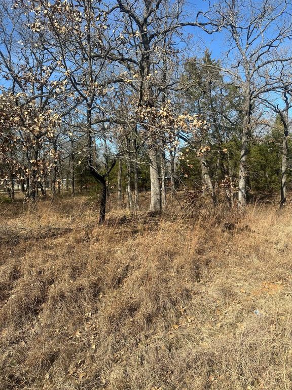176 Oak Trail, Mabank, TX 75156