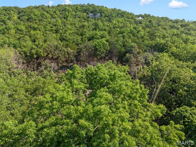 30 Rockwood Forest Valley, Eureka, MO 63025