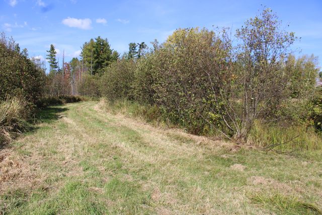 156 Hardscrabble Road, Cadyville, NY 12918