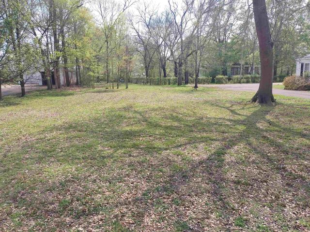 165 COLLEGE ST, Savannah, TN 38372