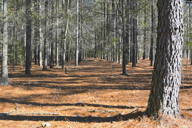 707 Mt Ebal Road, Batesburg, SC 29006