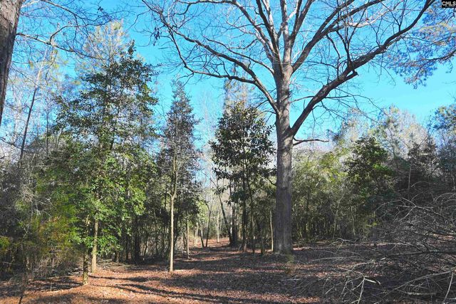 707 Mt Ebal Road, Batesburg, SC 29006