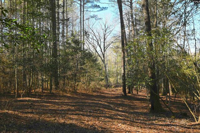 707 Mt Ebal Road, Batesburg, SC 29006