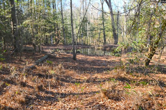 707 Mt Ebal Road, Batesburg, SC 29006