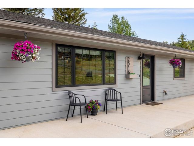 2516 Pine Meadow Dr, Estes Park, CO 80517
