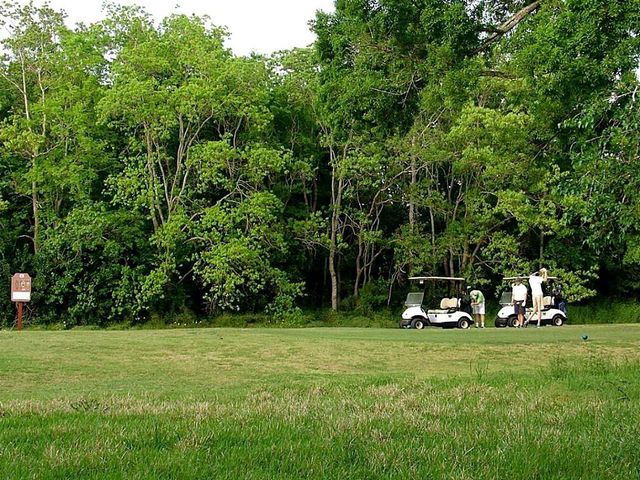 6602 Harbor Town Drive 404, Houston, TX 77036