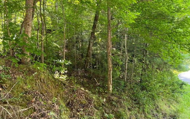 Lot 77 Fires Creek Cove, Hayesville, NC 28904