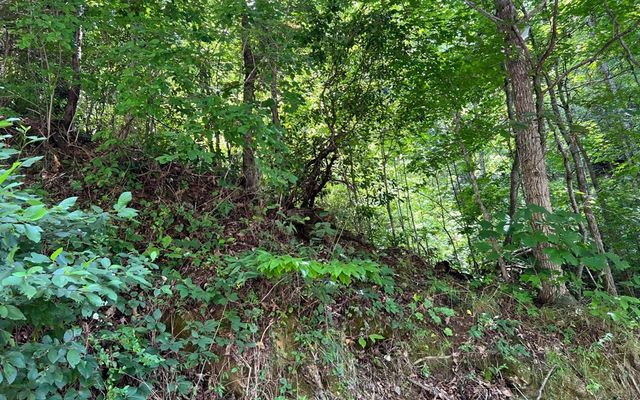 Lot 77 Fires Creek Cove, Hayesville, NC 28904
