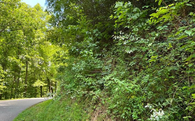 Lot 77 Fires Creek Cove, Hayesville, NC 28904