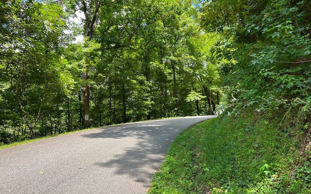 Lot 77 Fires Creek Cove, Hayesville, NC 28904