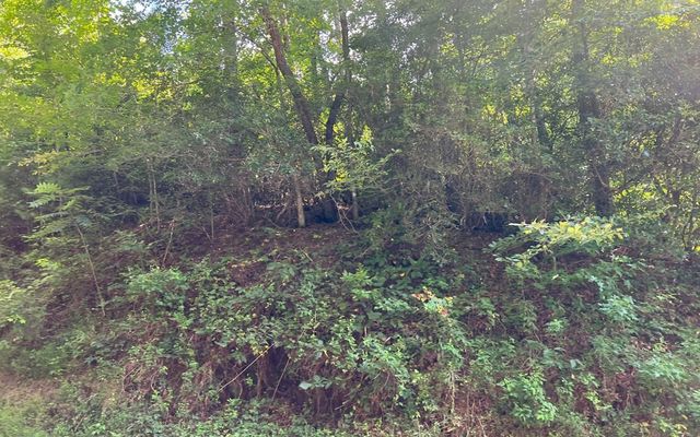 Lot 77 Fires Creek Cove, Hayesville, NC 28904