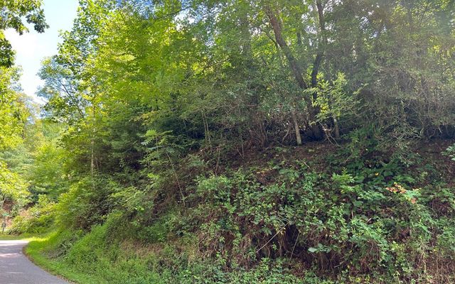 Lot 77 Fires Creek Cove, Hayesville, NC 28904