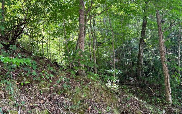 Lot 77 Fires Creek Cove, Hayesville, NC 28904