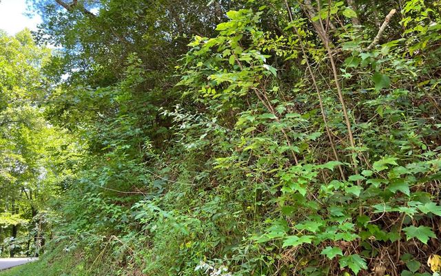 Lot 77 Fires Creek Cove, Hayesville, NC 28904