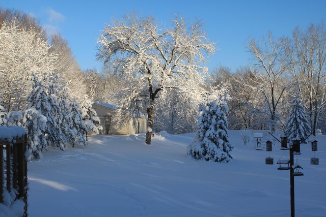 1525 104th Street SW, Byron Center, MI 49315