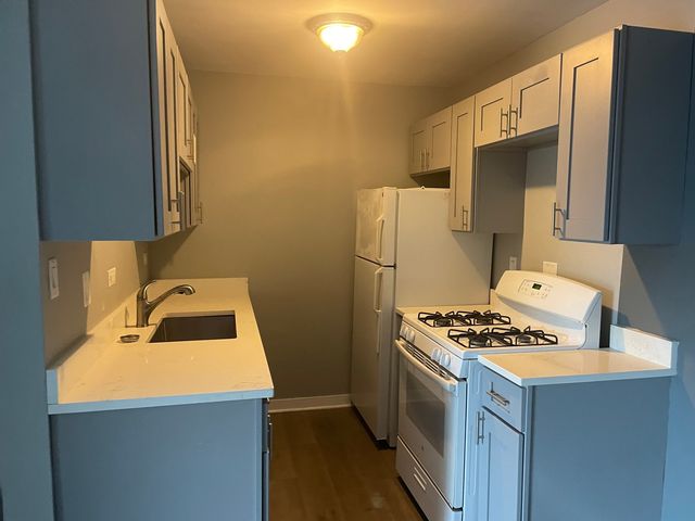 928 Jonathon Court 304, Prospect Heights, IL 60070