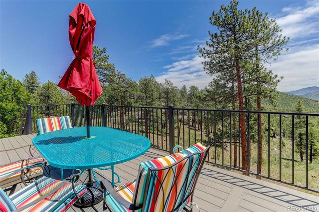 30236 Zurich Drive, Pine, CO 80470