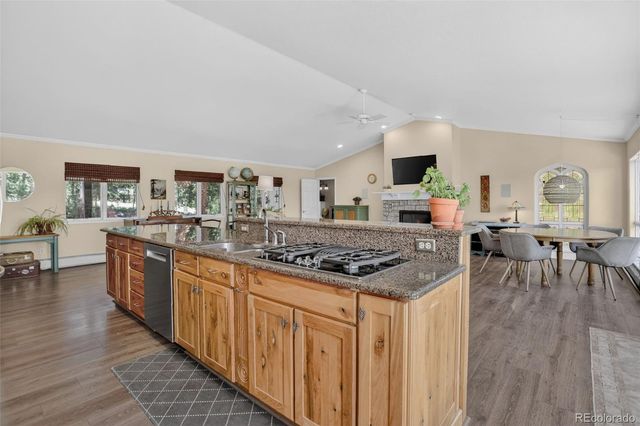 30236 Zurich Drive, Pine, CO 80470