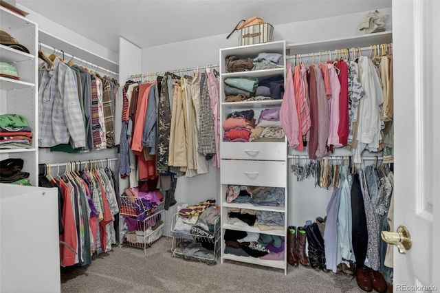 30236 Zurich Drive, Pine, CO 80470