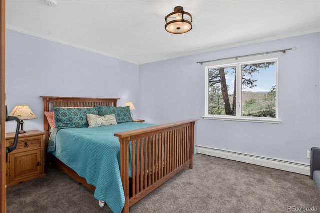 30236 Zurich Drive, Pine, CO 80470