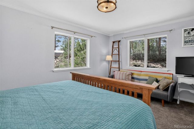 30236 Zurich Drive, Pine, CO 80470
