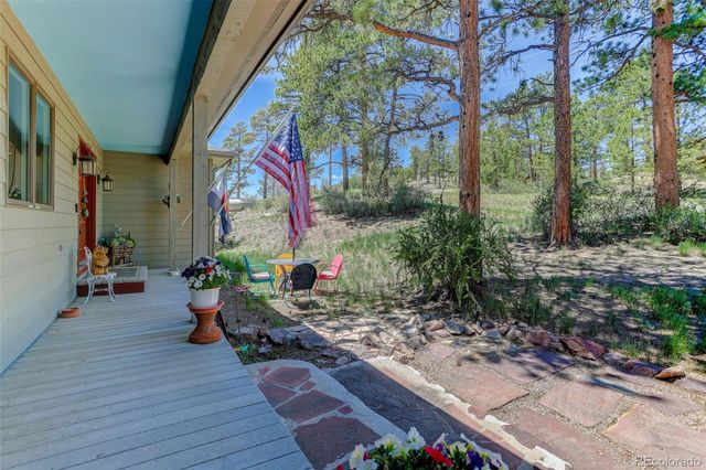 30236 Zurich Drive, Pine, CO 80470