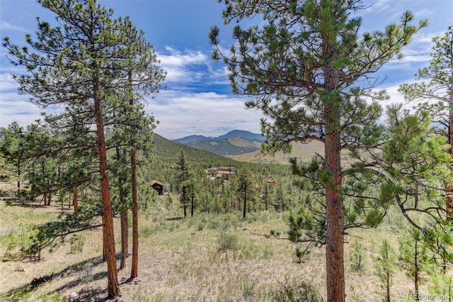 30236 Zurich Drive, Pine, CO 80470