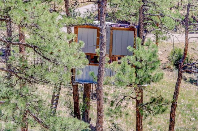 30236 Zurich Drive, Pine, CO 80470