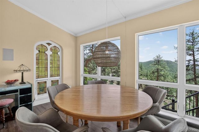30236 Zurich Drive, Pine, CO 80470