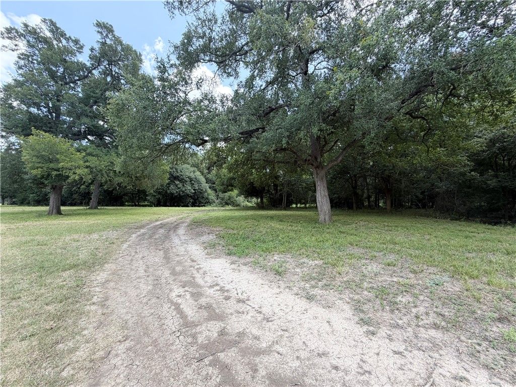TBD (100 AC /+) State Highway 36 S, Caldwell, TX 77836 — photo 3