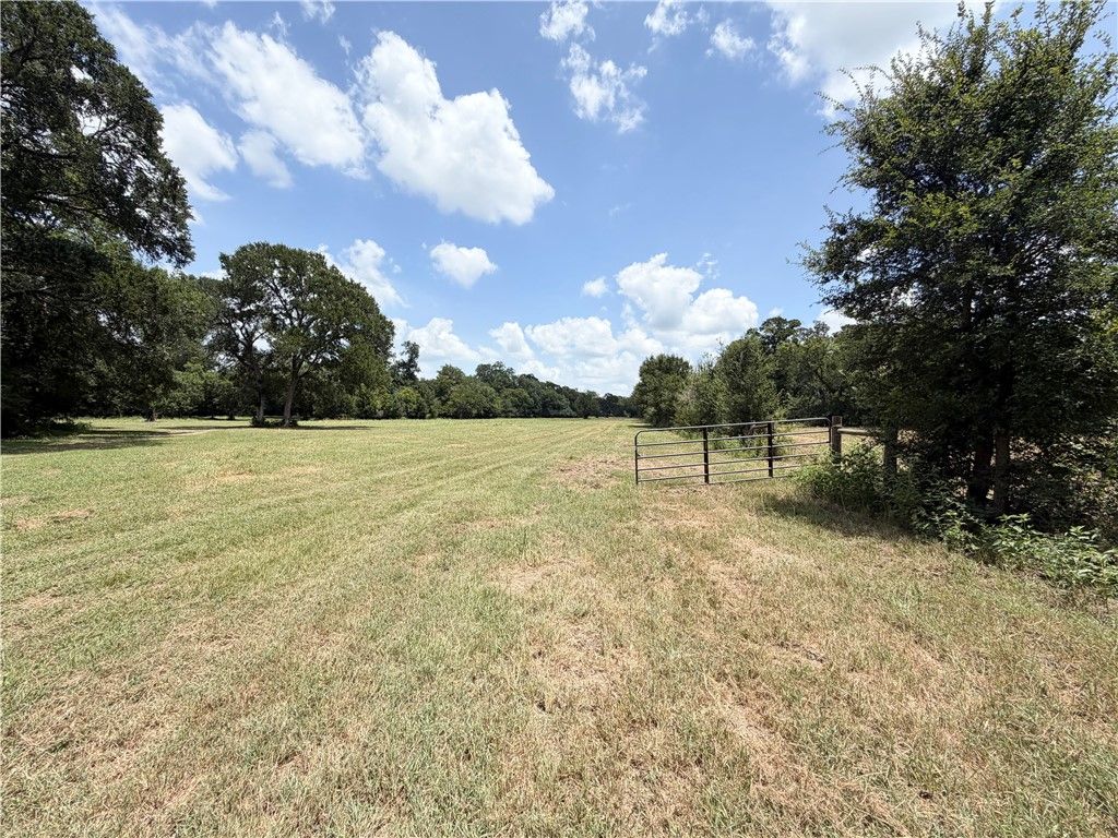 TBD (100 AC /+) State Highway 36 S, Caldwell, TX 77836 — photo 4