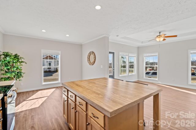 127 Bellamy Road, Asheville, NC 28806