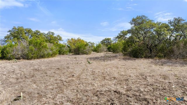 TBD Ranch to Market 962, Round Mountain, TX 78663