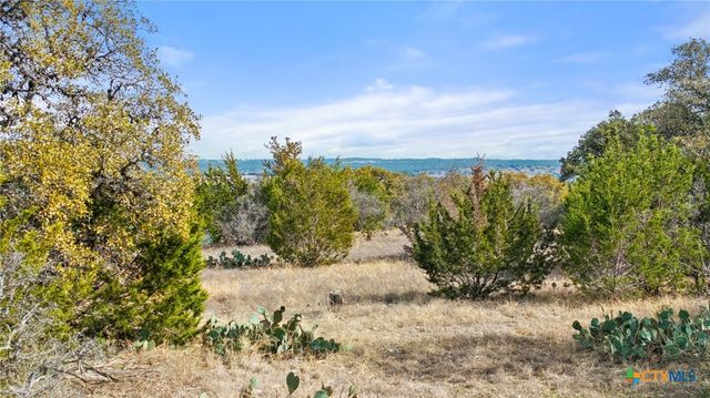 TBD Ranch to Market 962, Round Mountain, TX 78663