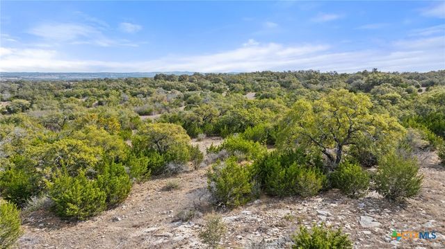 TBD Ranch to Market 962, Round Mountain, TX 78663