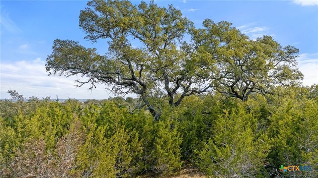 TBD Ranch to Market 962, Round Mountain, TX 78663