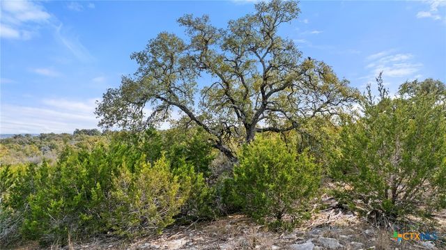 TBD Ranch to Market 962, Round Mountain, TX 78663