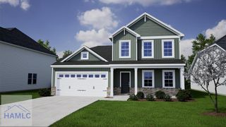 44 Gooseberry Court NE, Ludowici, GA 31316