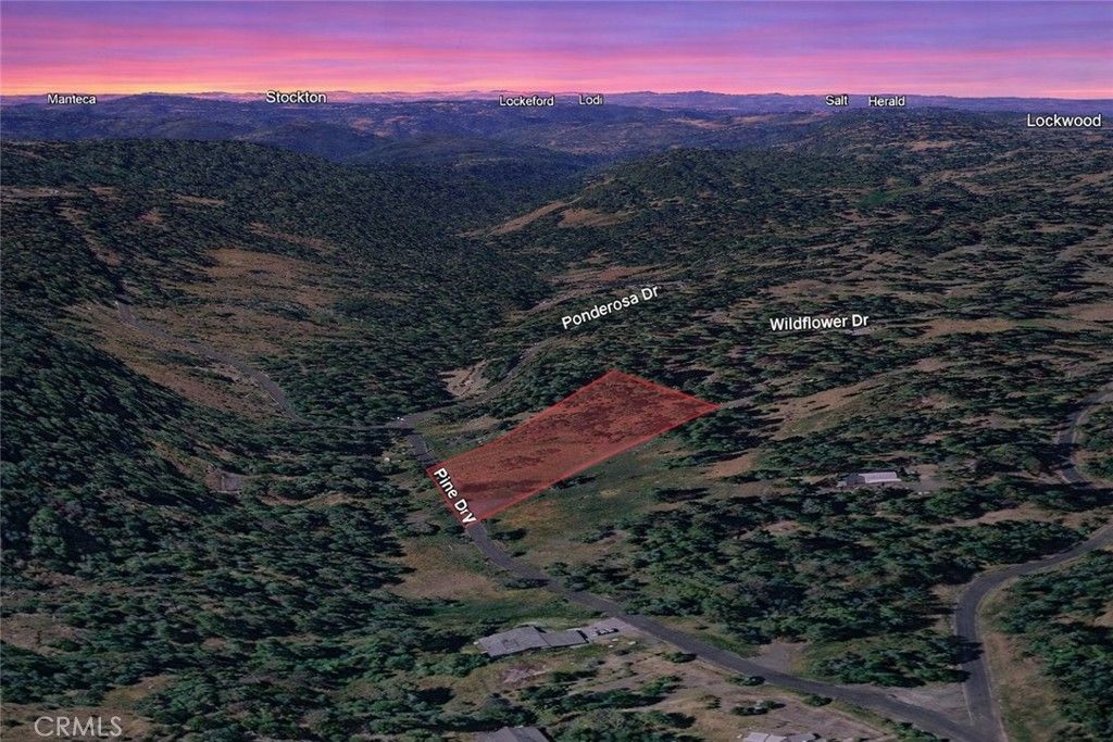 Image 2 of property listing at 25700 Wildflower Drive, Pioneer, CA 95689