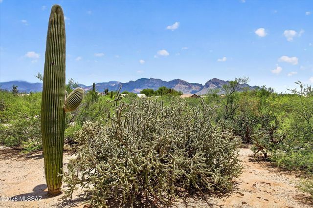 11546 N Mountain Breeze Drive, Oro Valley, AZ 85737